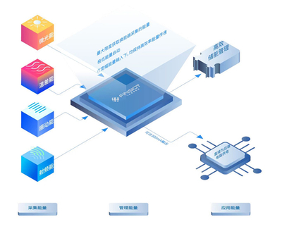 一場成都和青年的雙向奔赴